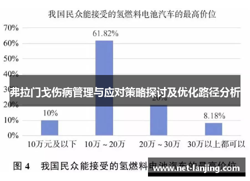 弗拉门戈伤病管理与应对策略探讨及优化路径分析