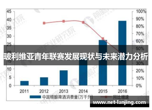 玻利维亚青年联赛发展现状与未来潜力分析