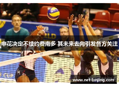 申花决定不续约费南多 其未来去向引发各方关注