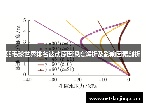 羽毛球世界排名波动原因深度解析及影响因素剖析